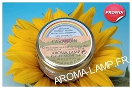 aroma lamp diffuseur lavandin